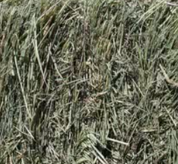 Small Bale Bedding Straw